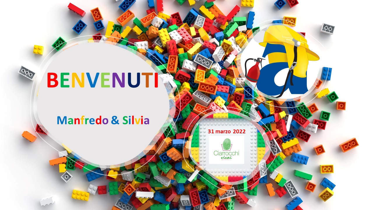 “Tutto col gioco, niente per gioco” – Il metodo LEGO SERIOUS PLAY